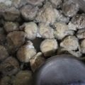 Cooksnap dari Prima Amalia untuk resep Bakso Sapi Kenyal Renyah Alami