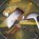 Cooksnap dari Sena untuk resep Sop Ikan Patin (tidak amis)