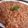 Cooksnap από tzoulitsa στη συνταγή Γαριδομακαρονάδα μεθυσμένη