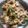 Kavya Rajkumar's cooksnap of when they made தவா முட்டை பொரியல்(tawa egg fry recipe in tamil).
