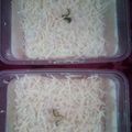 Cooksnap dari Eni k hani untuk resep Setup roti tawar susu keju