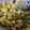 Charusheela Prabhu's cooksnap of when they made बटाट्याची भाजी (Batata Bhaji Recipe In Marathi).