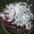 Cooksnap dari Anis Siti Anisah untuk resep Cake Red Velvet Kukus sederhana