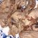 Cooksnap dari nurul hayya hafizhiah untuk resep Ayam pop padang