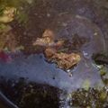 Cooksnap dari Lintang K untuk resep Rawon Daging Khas Jawa Timur