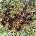 馴獸師在廚房 的 香麻韭菜烙餅 cooksnap