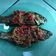 Cooksnap dari Novi untuk resep Pecak ikan mas