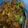 Cooksnap dari Godanita untuk resep Resep Mie : Broccoli beef noodle