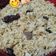 Cooksnap dari Wenny Oktavianii untuk resep Nasi Kebuli Magicom