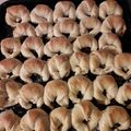 El cooksnap de Verojos Landest cuando hizo Medialunas saladas.