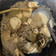 Cooksnap dari Sri Wijayanti untuk resep Terik Daging Sapi Tahu Telor langsung Enakk :D resep Keluarga