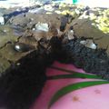 Cooksnap dari Faridha Dwi Hastiningrum untuk resep Brownies Shiny Crust