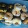 Cooksnap dari wani untuk resep Donat ekonomis (tanpa telur/kentang)