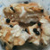 Cooksnap dari Sri Soekamto untuk resep PUDING ROTI PANGGANG
