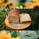 Cooksnap dari Hu Xiuling untuk resep Poolish Shokupan (Roti Susu Jepang)