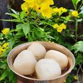 SOMA ADHIKARY's cooksnap of when they made রসগোল্লা(Rasgulla recipe in Bengali).