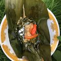 Cooksnap dari Dian Wijaya untuk resep Garang asem ati ampela