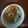 Cooksnap dari Imey Vlog untuk resep 81. Sop Buntut