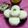 Heejal Pandya's cooksnap of when they made ઈડલી (Idli Recipe In Gujarati).