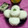 Heejal Pandya's cooksnap of when they made ઈડલી (Idli Recipe In Gujarati).
