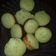 Cooksnap dari Sigit Ina untuk resep Pukis Empuk No Mixer