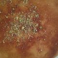 صورة من Fatima, kitchen&cook ، شاركها بعد تجربة وصفة الكنافة الخشنة