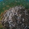 Cooksnap dari Indira Kusuma Wardani untuk resep Teri tumis cabe syetan😭😜