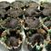 Cooksnap dari albertha iramani untuk resep Brownies Kukus ala Amanda #BikinRamadanBerkesan