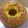 El cooksnap de Nestorlgzm cuando hizo Budín de naranja o mandarina.