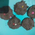 Cooksnap dari Fenny untuk resep Choco Chips terenak tergampil