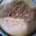 El cooksnap de Elii Petrelli cuando hizo Bizcochuelo de vainilla.