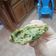 El cooksnap de Tania r.guez guimarey cuando hizo Croqueta de Lechuga.