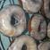 El cooksnap de Laura cuando hizo Rosquitas.