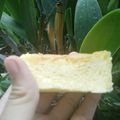 Cooksnap dari jasminangelina_ untuk resep Ogura Keju (2 telur aja)