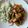 El cooksnap de Veronica Dominguez Mendez cuando hizo Salteado de pollo y verduras.