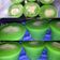 Cooksnap dari Mehdi Mom's (Sree Iba) untuk resep Kue Nona Manis
