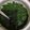 Cooksnap dari jeanny 1990 untuk resep Sayur Bening Daun Kelor
