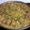 El cooksnap de Alvaro Fdez. cuando hizo Paella de costillas con verduras.