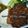 Cooksnap dari putry untuk resep Sambal Bebek Bumbu Hitam Madura