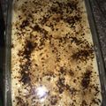 صورة من Dndoon، شاركها بعد تجربة وصفة كيكة النسكافيه