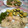El cooksnap de glurio cuando hizo Calabacín gratinado.