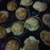 Cooksnap dari Siti Muflikhah untuk resep Takoyaki ala mall