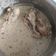 La cooksnap de matiasortizgarcia cuando cocinó Muslos de pollo en salsa de cebolla y ajo