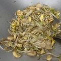 Cooksnap dari Kelen untuk resep Cah Toge dan Sawi Putih ✨