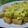 Cooksnap dari Puti Annisa Utari untuk resep Tahu Tempe Saus Telur Asin
