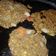 El cooksnap de Juana Carolina cuando hizo Hamburguesas de lentejas 😋😋.