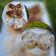 Cooksnap dari Wawia Ni Made untuk resep Donat Empuk, Ekonomis, Killer Soft Bread 1x Proofing