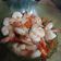 Cooksnap dari Lutfi Rahmaditya untuk resep Tumis Udang