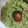 El cooksnap de Mariquilla cuando hizo Guacamole.