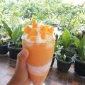 Cooksnap dari ningsi wirya untuk resep King mango thai ala-ala